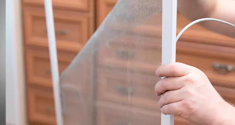 Privacy Mesh Screen Door Installation in San Mateo, CA
